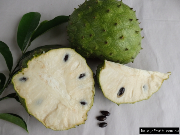 Soursop - fruit