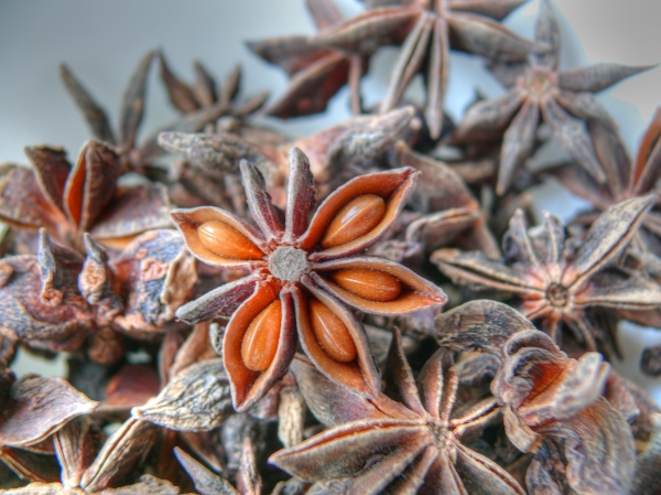 Star Anise Illicium verum in HDR