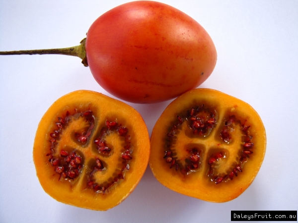 Tamarillo - Orange
