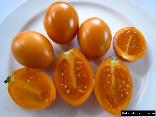 Tamarillo - Orange