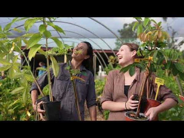 Video: Welcome to Daleys Fruit Tree Nursery