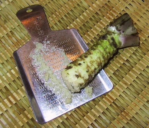 Wasabi root being grated for use