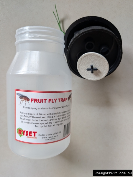 Wild May fruit fly trap bottle and lid design