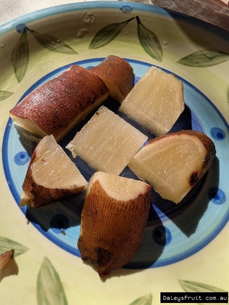 Crisp juicy yacon sliced for morning tea