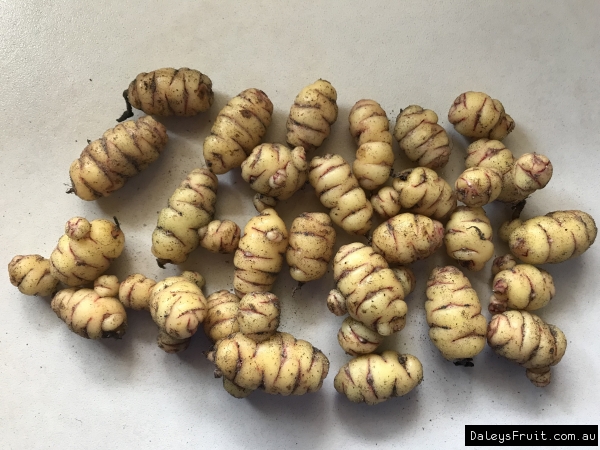 Oca - Aphrodite tubers