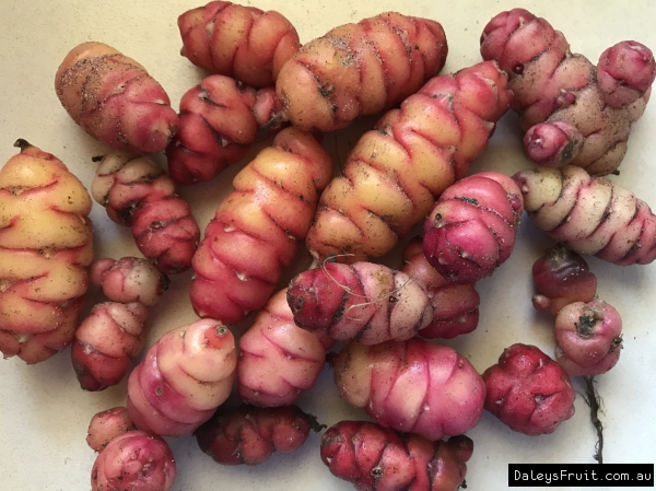 Oca - Robin Hood Tubers