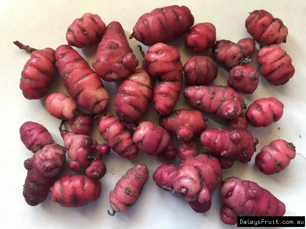 Oca Romeo Tubers