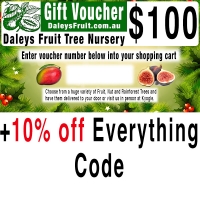 Gift+Voucher+with+10+off+everything+code