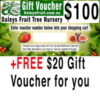 100+Dollar+Gift+Voucher+to+give+away+plus+Free+20+dollar+voucher+for+you