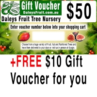 50+dollar+gift+voucher+with+free+10+dollar+gift+voucher+for+you