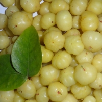 Amla Fruit