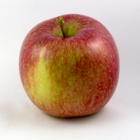 apple gala