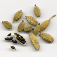 Cardamom
