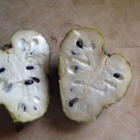 Cherimoya cut in half showing the flesh By DaleysFruit.com.au [All Rights Reserved]