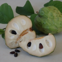 Cherimoya white By DaleysFruit.com.au [All Rights Reserved]