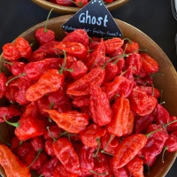 Ghost chilli display at a market stall