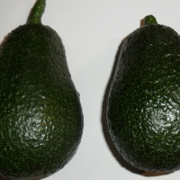 Lamb Hass Avocado