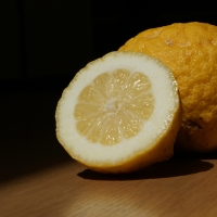 Lisbon Lemon Fruit Cut Open By Marijke Blazer [CC BY 2.0 (https://creativecommons.org/licenses/by/2.0/)] via Flickr via flickr https://flic.kr/p/7u9kc8