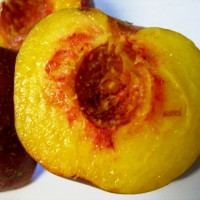 sunset peach fruit