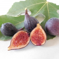 Fig Violette De Bordeaux By DaleysFruit.com.au [All Rights Reserved]