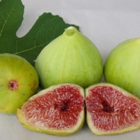 Fig - White Adraitic By DaleysFruit.com.au [All Rights Reserved]