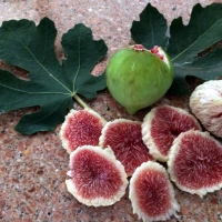 White Adriatic fig peeled and sliced