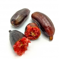 Byron Sunrise Finger Lime Fruit split open bursting with the tiny citrus balls Red skin and red flesh/balls inside with only a few seeds