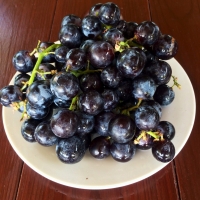 Delicous Black Muscats