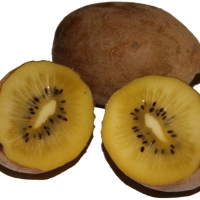 kiwi gold compliments of pastry school