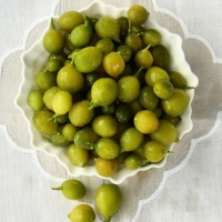 Desert Lime By Jock Douglas [All Rights Reserved,Supplier of DaleysFruit.com.au]