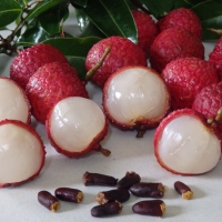 Lychee Salathiel By DaleysFruit.com.au [All Rights Reserved]