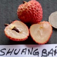 Shuang Balia Fruit