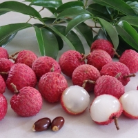 Lychee Wai Chi By DaleysFruit.com.au [All Rights Reserved]