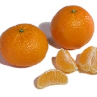 Mandarin Nules compliments of 21food