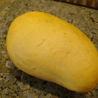 This is a Ataulfo Mango By Janet Hudson https://creativecommons.org/licenses/by/2.0/ https://flic.kr/p/7PEHzj