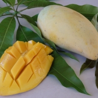 Banana mango