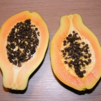 Papaya Fruit Not exact variety By byrev [CC0 1.0 (https://creativecommons.org/publicdomain/zero/1.0/deed.en)] From Pixabay