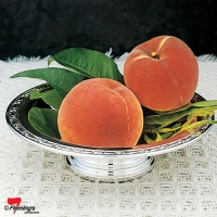 Flordagold peach fruit tree is a rounded large attractive coloured peach tree low chill of 325 hours.