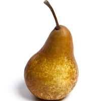 Beurre Bosc Pear By Apple By by Carl Davies for Apples and Pears Australia Ltd [CC BY 2.0 (https://creativecommons.org/licenses/by/2.0/)] From Flickr https://flic.kr/p/vubQPx