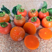 Persimmon Flat Seedless By DaleysFruit.com.au [All Rights Reserved]