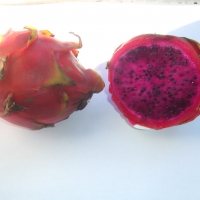 Dark Star Dragon Fruit