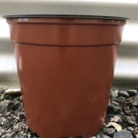135mm terracotta pot