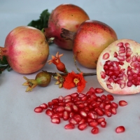 Pomegranate Elche By DaleysFruit.com.au [All Rights Reserved]