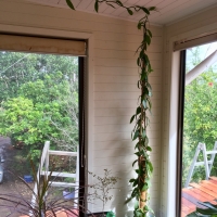 Vanilla as an indoor climber