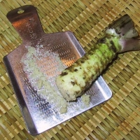 Wasabi root being grated for use By Chris 73 [CC BY-SA 3.0 (https://creativecommons.org/licenses/by-sa/3.0/deed.en)] From Wikimedia Commons