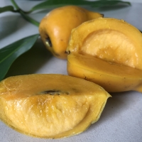 Yellow+mangosteen